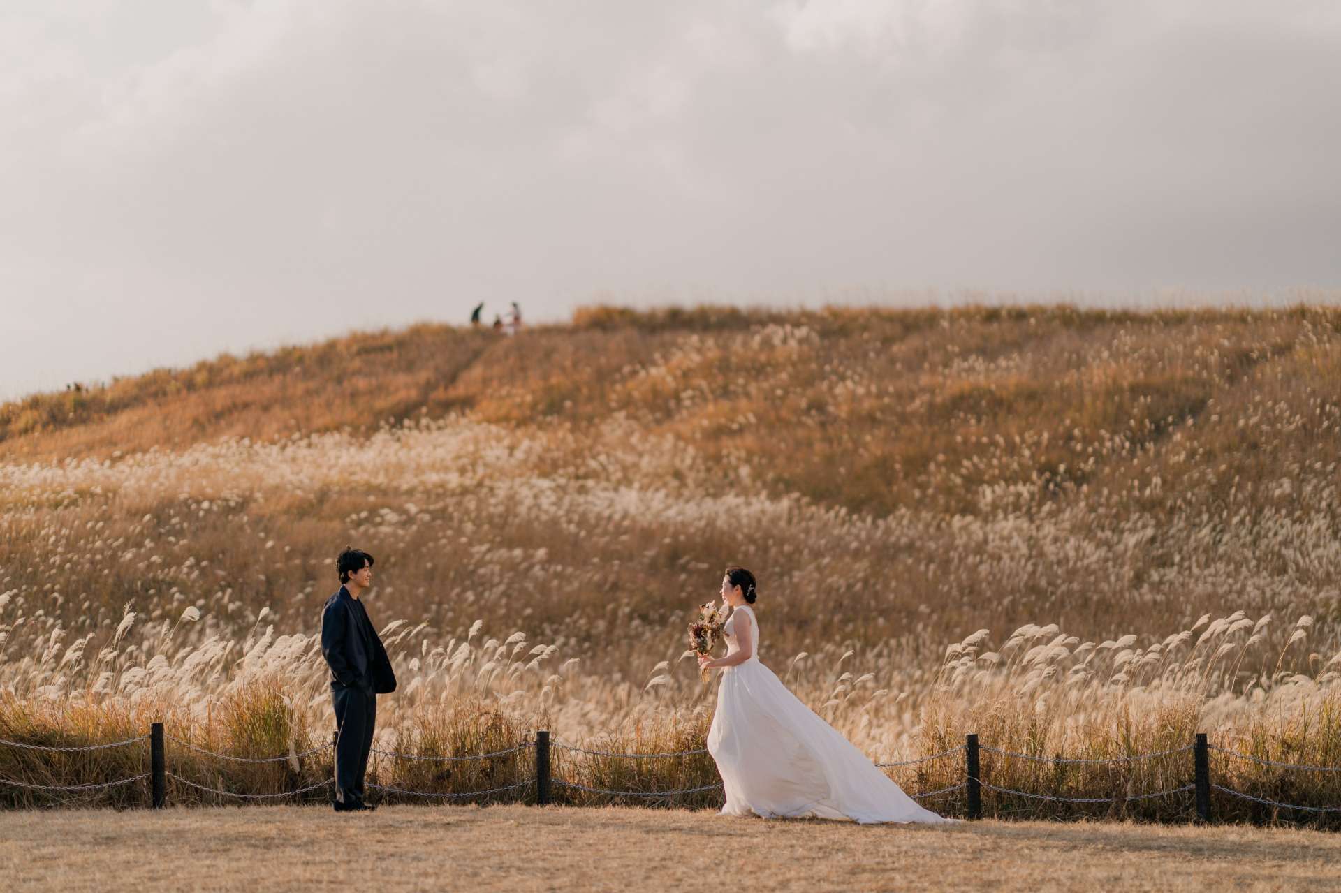 【奈良】曽爾高原